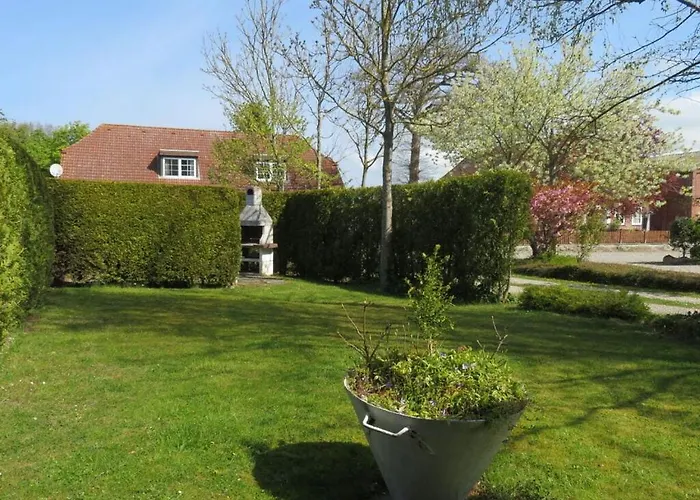 Rhapsody Comfortable *