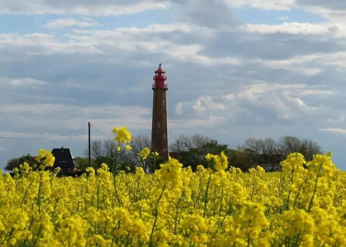 Rhapsody Comfortable Holiday home Fehmarn