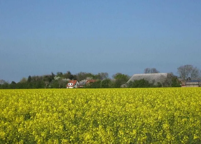 Rhapsody Comfortable Fehmarn